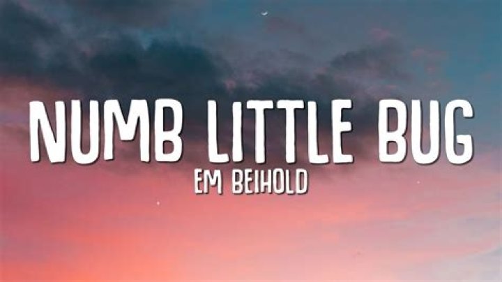 Lyrics & Translations of Numb Little Bug by Em Beihold