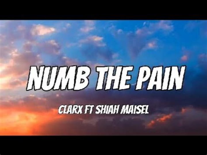 Lyrics & Translations of Numb The Pain by Le Malls & Clarx & Shiah Maisel