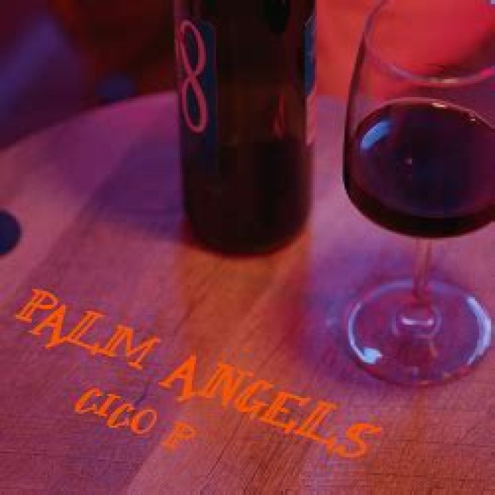 Lyrics & Translations of Palm Angels by Cico P
