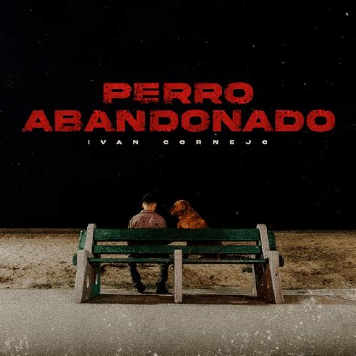 Lyrics & Translations of Perro Abandonado by Ivan Cornejo
