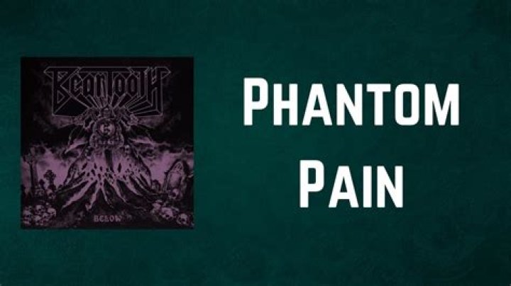 Lyrics & Translations of Phantom Pain by Beartooth