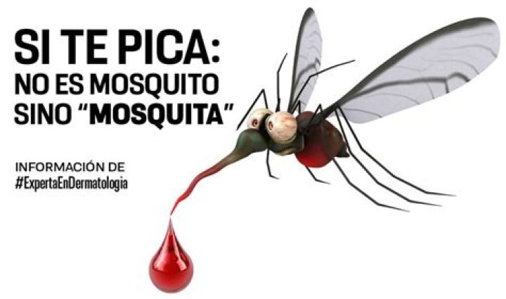 Lyrics & Translations of Pican Pican Los Mosquitos by Pica-Pica