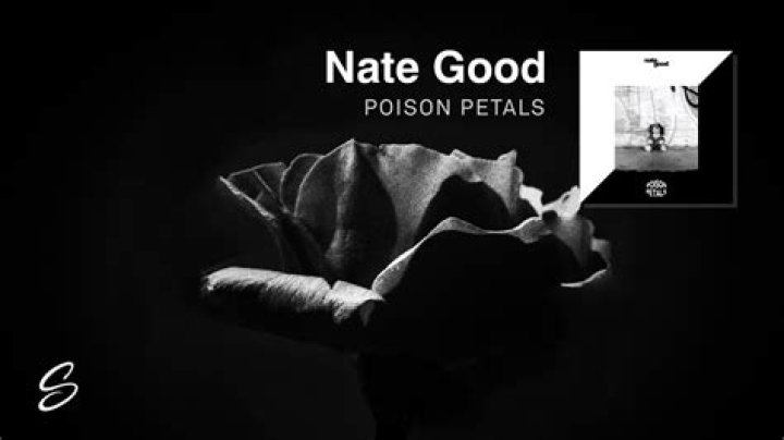 Lyrics & Translations of Poison Petals by Nate Good
