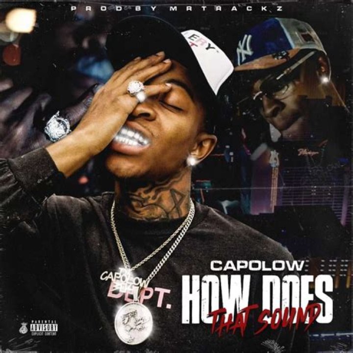 Lyrics & Translations of Presidential by Capolow