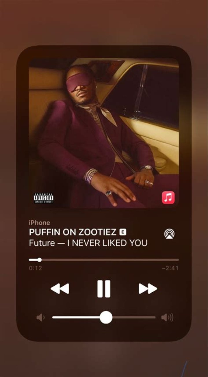 Lyrics & Translations of Puffin On Zooties by Ace Hood