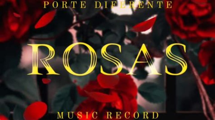 Lyrics & Translations of Rosas by Porte Diferente