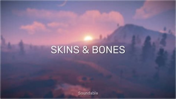 Lyrics & Translations of Skin & Bones by Lund