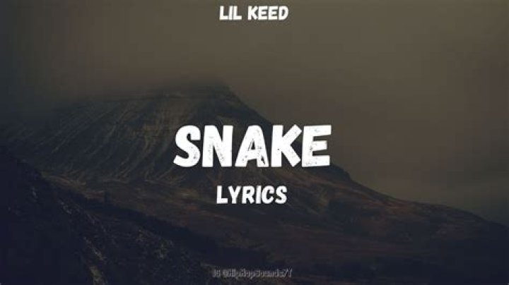 Lyrics & Translations of Snake by Lil Keed
