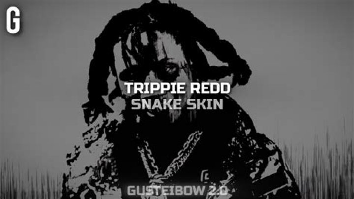 Lyrics & Translations of Snake Skin by Trippie Redd