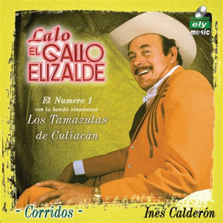 Lyrics & Translations of Sufriendo A Solas by Francisco "el Gallo Elizalde"