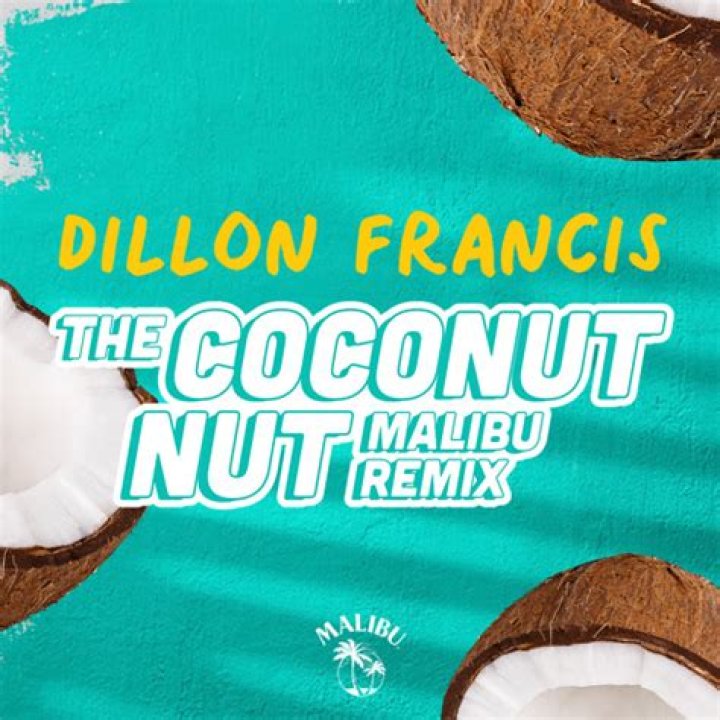 Lyrics & Translations of The Coconut Nut (Malibu Remix) by Dillon Francis
