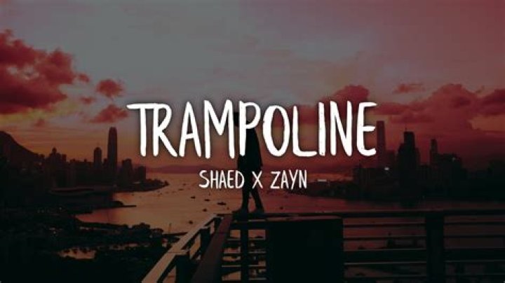 Lyrics & Translations of Trampoline by Ace Hood