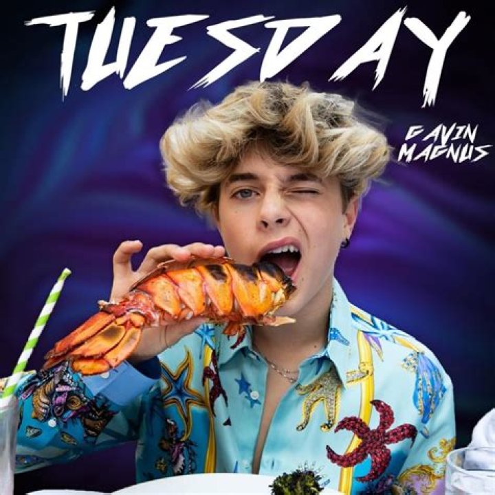 Lyrics & Translations of Tuesday by Gavin Magnus