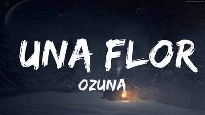 Lyrics & Translations of Una Flor by Ozuna
