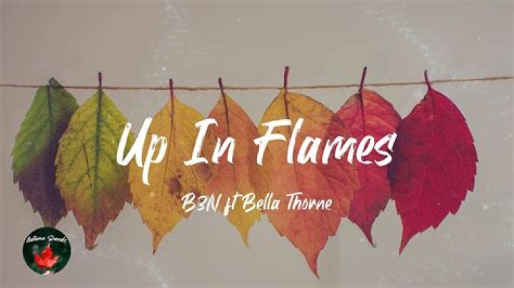 Lyrics & Translations of Up In Flames by Bella Thorne & B3N
