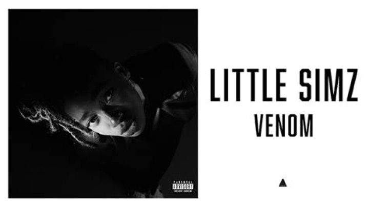 Lyrics & Translations of Venom by Little Simz