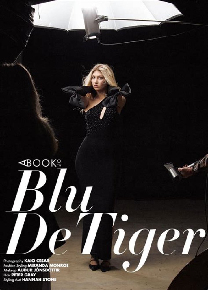 Lyrics & Translations of Vintage by Blu Detiger