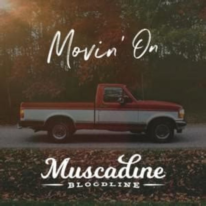 Lyrics & Translations of Walk In A Room by Muscadine Bloodline