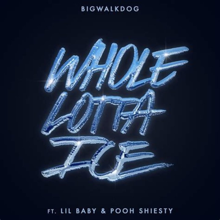 Lyrics & Translations of Whole Lotta Ice by Lil Baby & Pooh Shiesty & Bigwalkdog