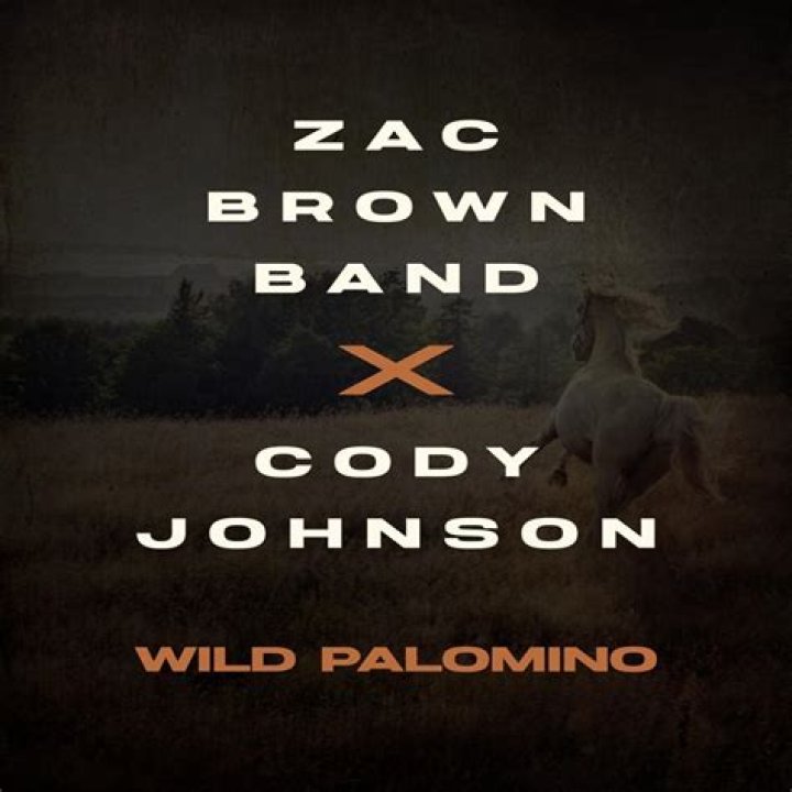 Lyrics & Translations of Wild Palomino by Zac Brown Band
