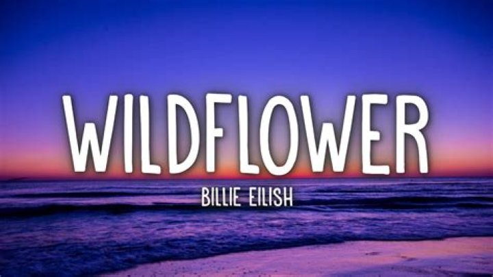 Lyrics & Translations of Wildflower by Only Emily
