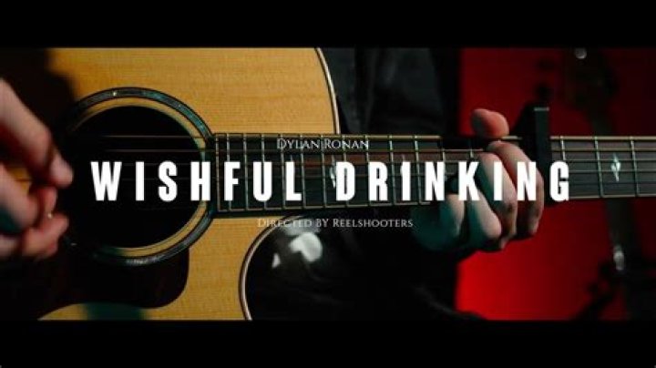 Lyrics & Translations of Wishful Drinking by Ingrid Andress