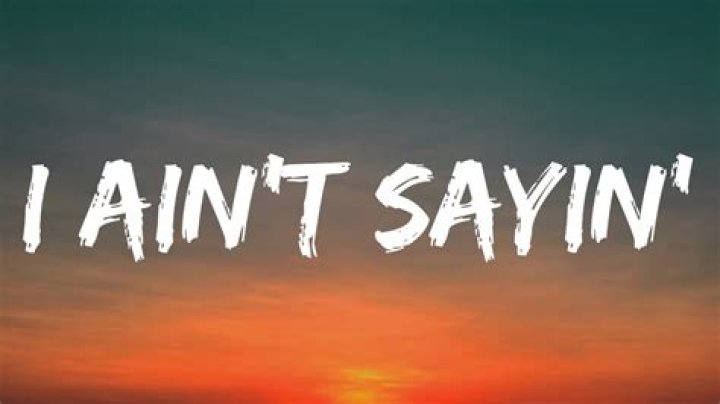 Lyrics & Translations of Without Sayin A Word by Niko Moon