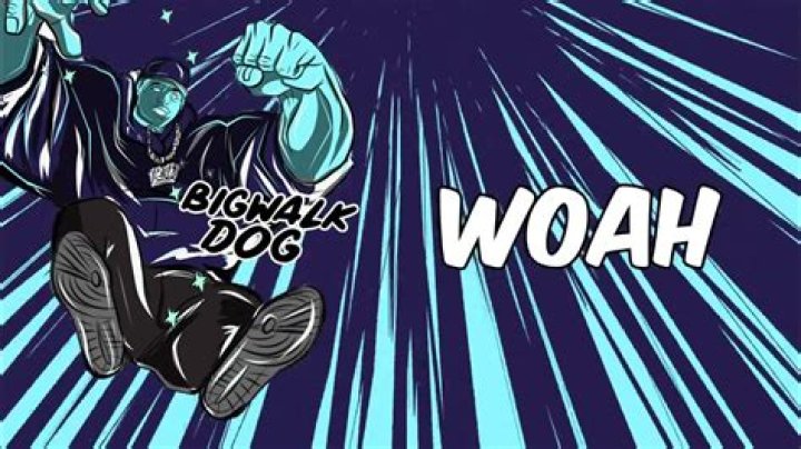 Lyrics & Translations of Woah by Bigwalkdog