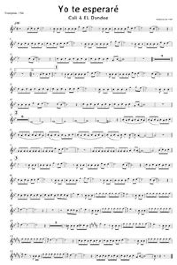 Lyrics & Translations of Yo Te Esperaré by Siggno