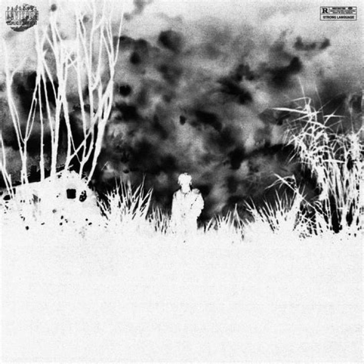 Lyrics & Translations of Z06 by Summrs