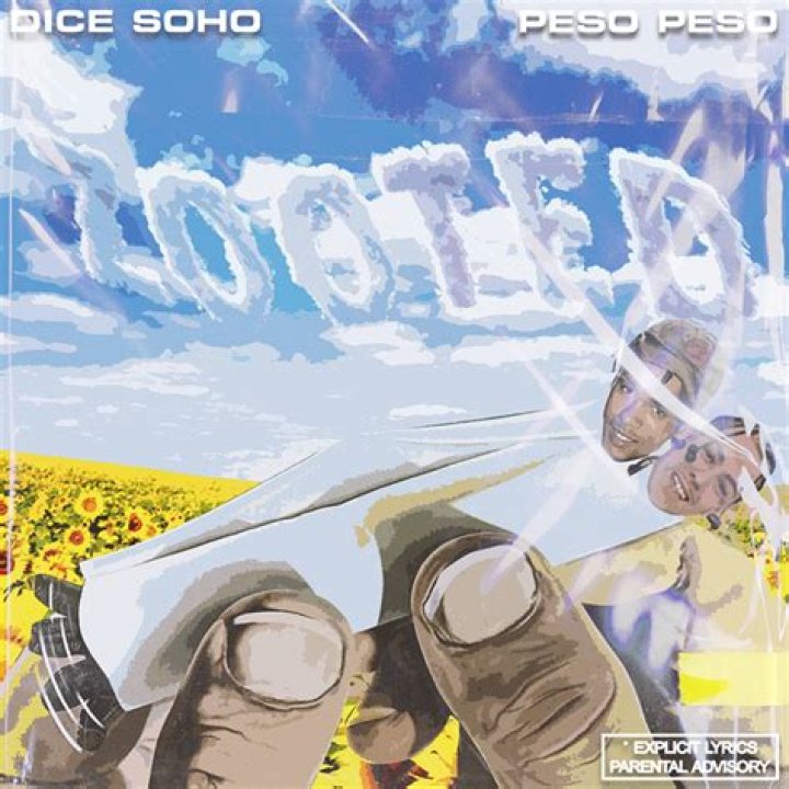 Lyrics & Translations of Zooted by Dice Soho & Peso Peso