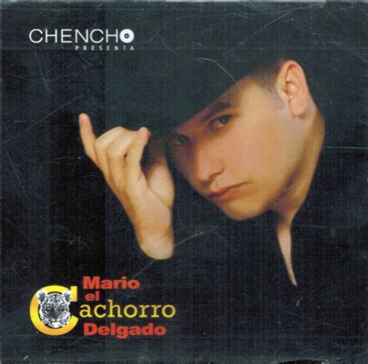 Mario El Cachorro Delgado Net Worth - How Much Does Mario El Cachorro Delgado Make?