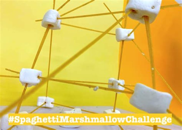 Marshmello's Activities' | Popnable