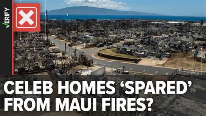 Maui by Blac Chyna Insights