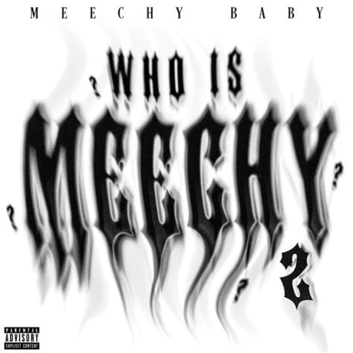 Meechy Baby Net Worth - How Much Does Meechy Baby Make?