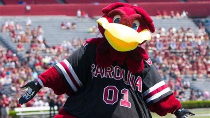 Mico Cocky from USA | Popnable