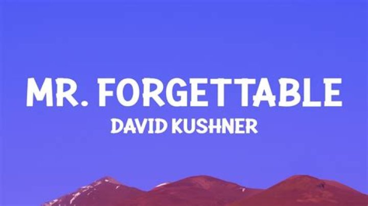 Mr Forgettable by David Kushner from USA
