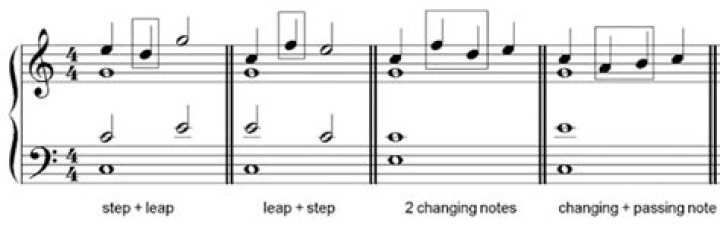 Music From Leap | Popnable