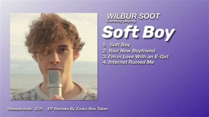 Music Like Wilbur Soot | Popnable
