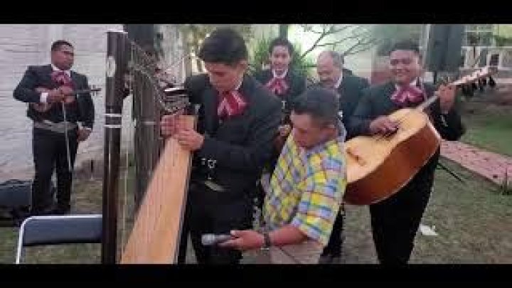 Musica Con Arpa Y Mariachi