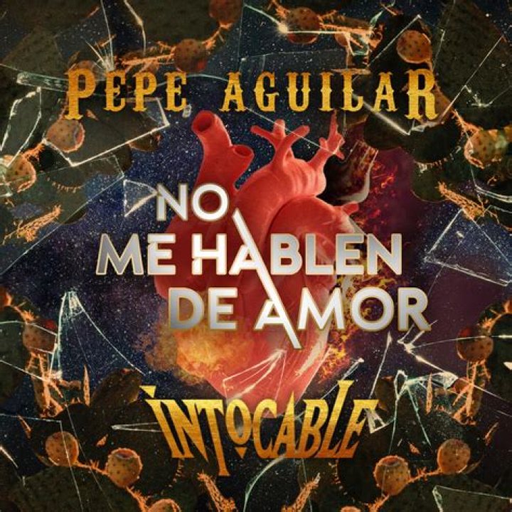 No Me Hablen De Amor by Pepe Aguilar & Intocable from Mexico