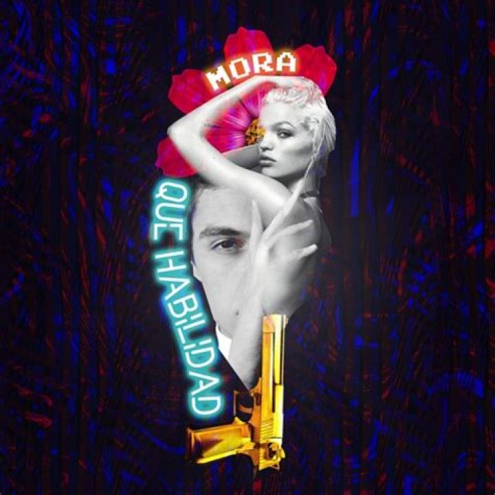 Que Habilidad by Mora from Chile