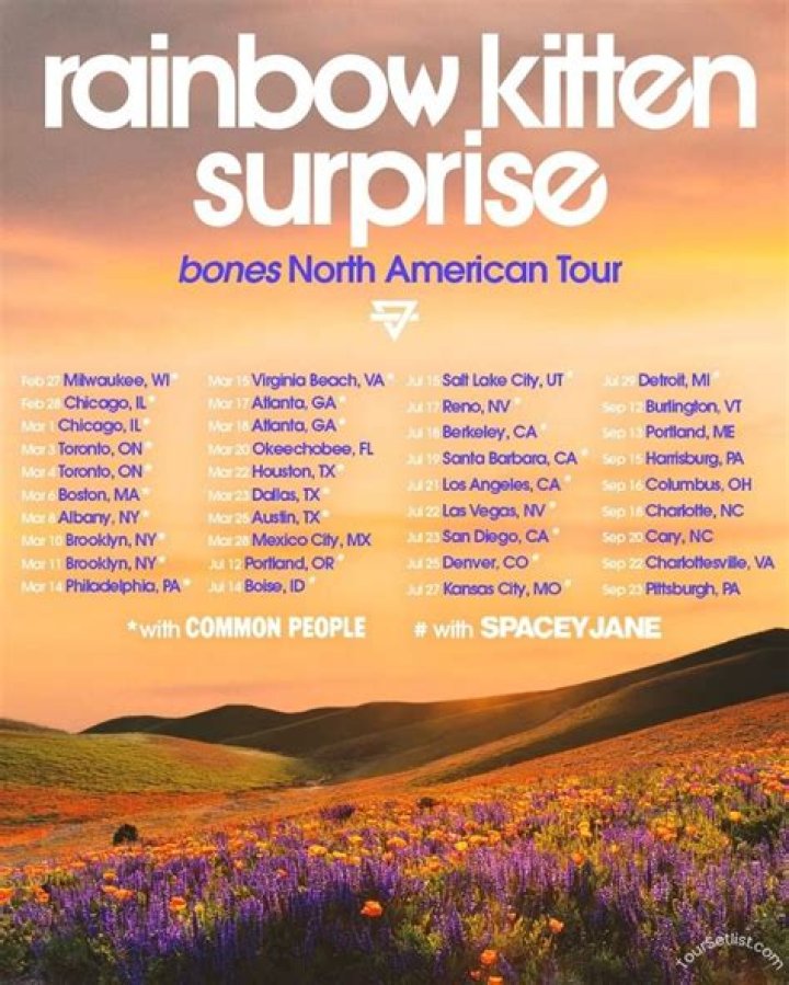 Rainbow Kitten Surprise from USA