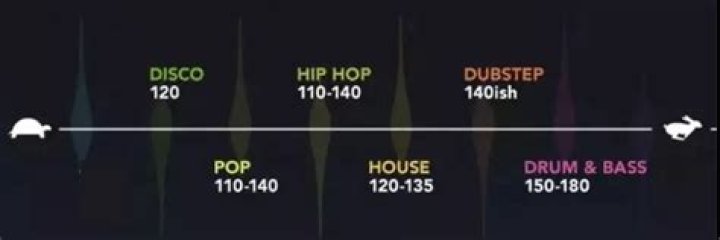 Rap Songs 85 Bpm | Popnable