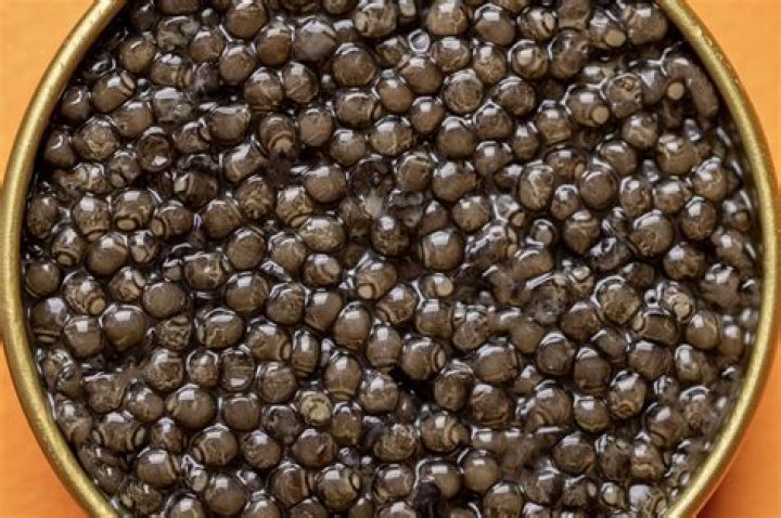 Rich Caviar Net Worth - How Much Does Rich Caviar Make?