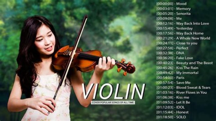 Rock Songs Violin Cover | Popnable