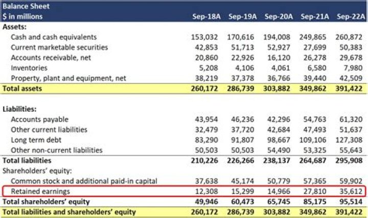 Sajda Obeid's Net Worth And Earnings In 2024