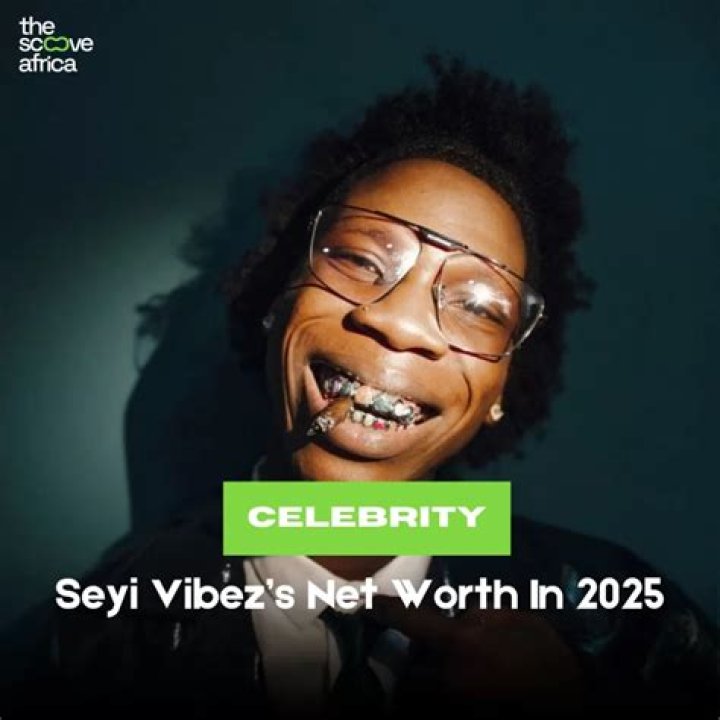 Seyi Vibez Net Worth - How Much Does Seyi Vibez Make?
