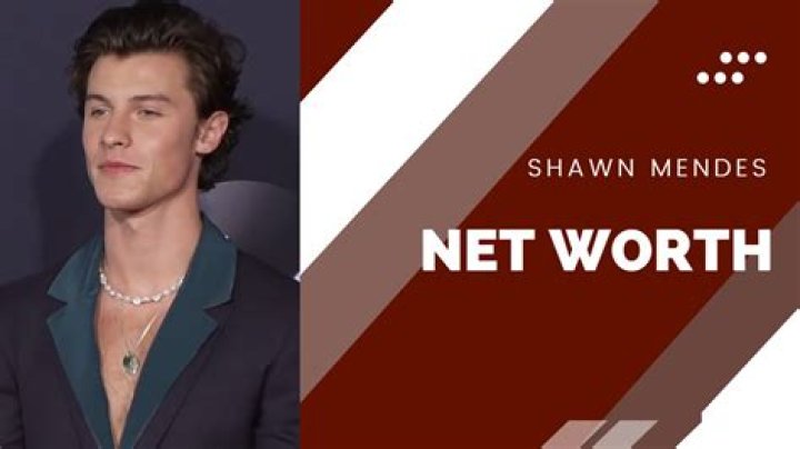 Shawn Mendes's Net Worth And Earnings In 2024
