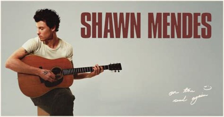 Shawn Mendes from USA | Popnable